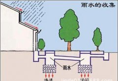 初期雨水收集為什么這么重要？